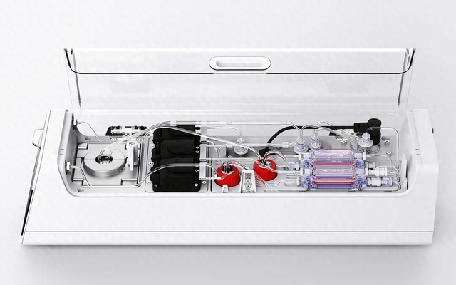 20 万一台的「人脑计算机」,可能是人类战胜 AI 的唯一方式?