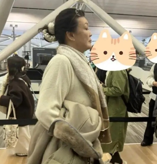 S妈放低姿态决定不争了，原因曝光，还是张兰有先见之明 或会相助