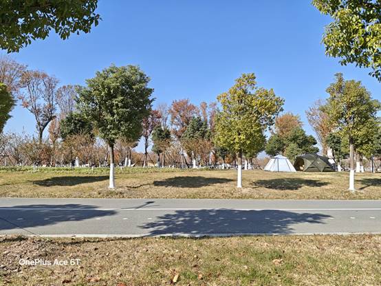 一加Ace 6T評測：性能旗艦新選擇 全面體驗新高度