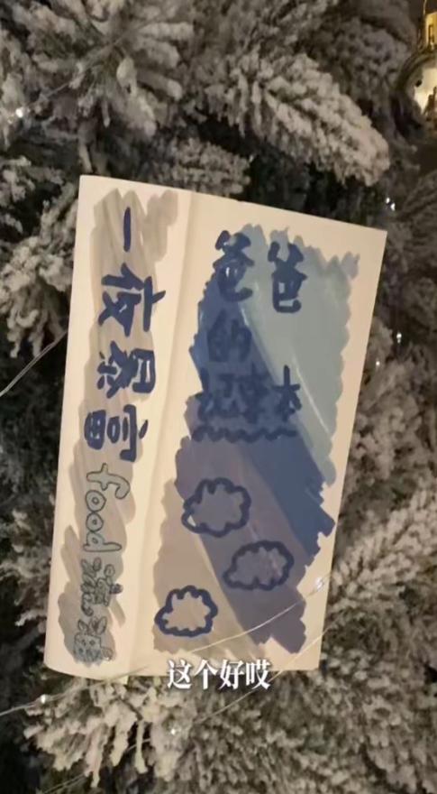 伊能静晒一家三口过圣诞！秦昊穿居家服坐沙发上不动窝，又脏又乱