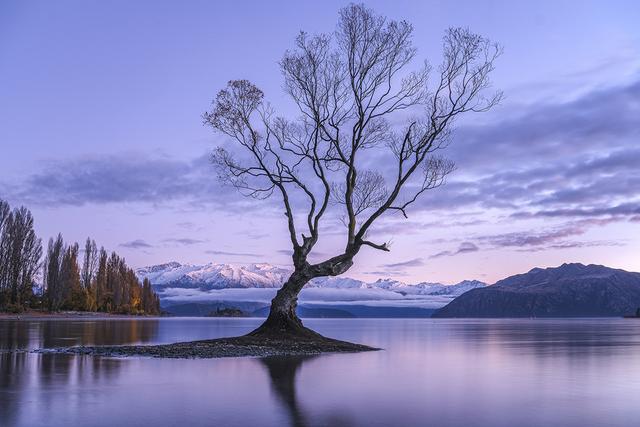 富士X-E5无反正式发布!X系列首次采用纯机械加工铝材制作顶罩