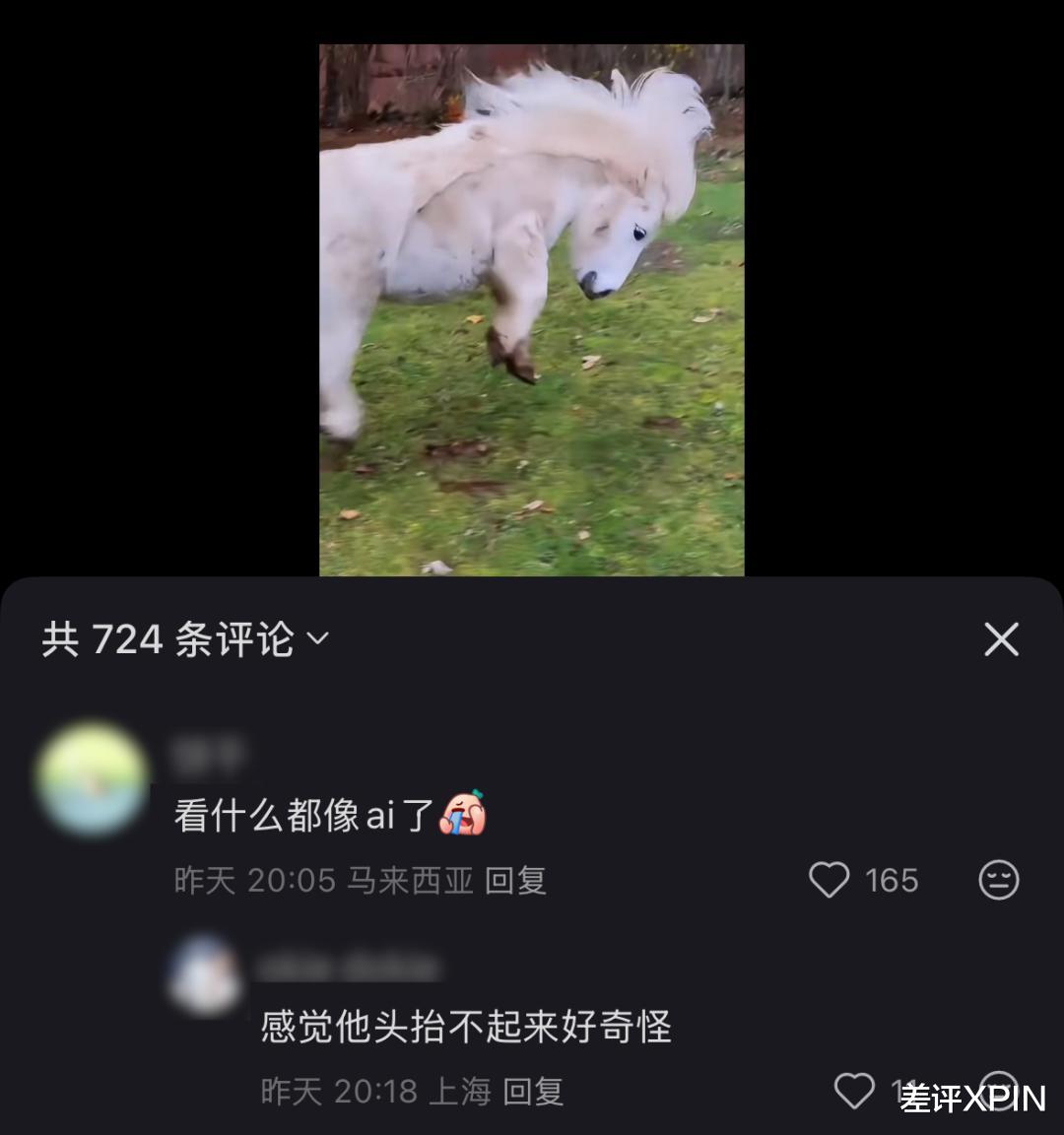刷到一個又一個假視頻后，我不敢相信互聯網了