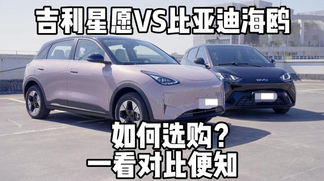 过完大年提什么车？选销量王比亚迪海鸥！还是后起之秀星愿！网友的回复亮了