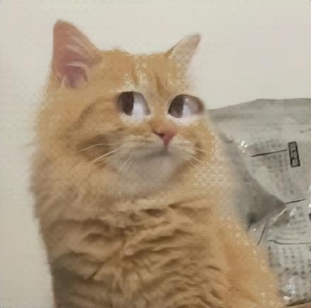 小米雷軍剛剛的劇透發布會，把網友都整不會了