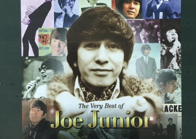 79岁TVB混血绿叶庆祝红宝石婚，搂着妻子唱歌好恩爱，两人无子女