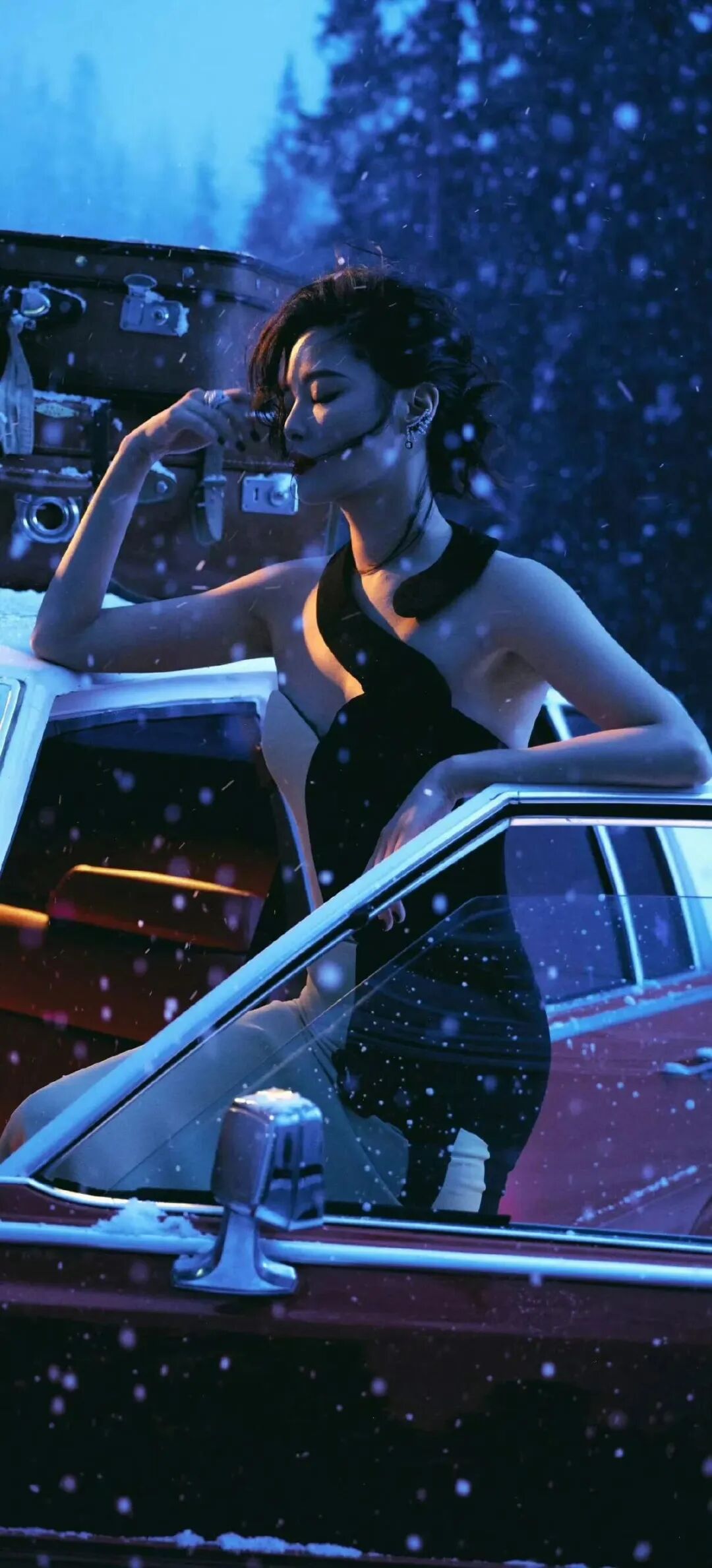 气质辛芷蕾壁纸分享