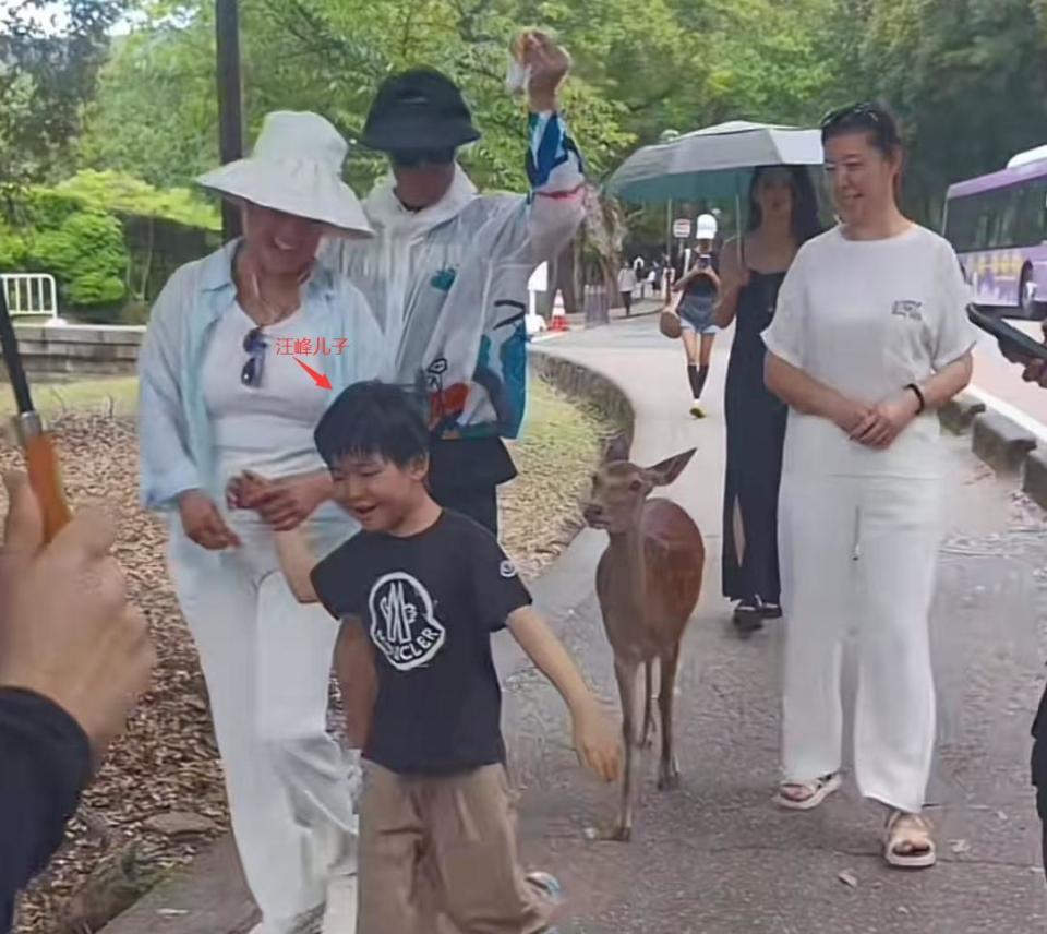 53岁汪峰热恋太黏糊!万象城当众紧搂森林北,女方壕逛奢侈品店