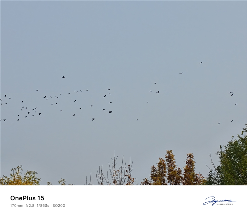 性能至上！ 一加 15評測：風馳游戲內核賦能 第五代驍龍8至尊版釋放極致戰力