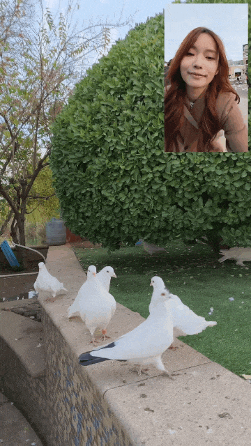 超出圈的實況神機提前解禁！OPPO Reno15系列Live實拍解讀