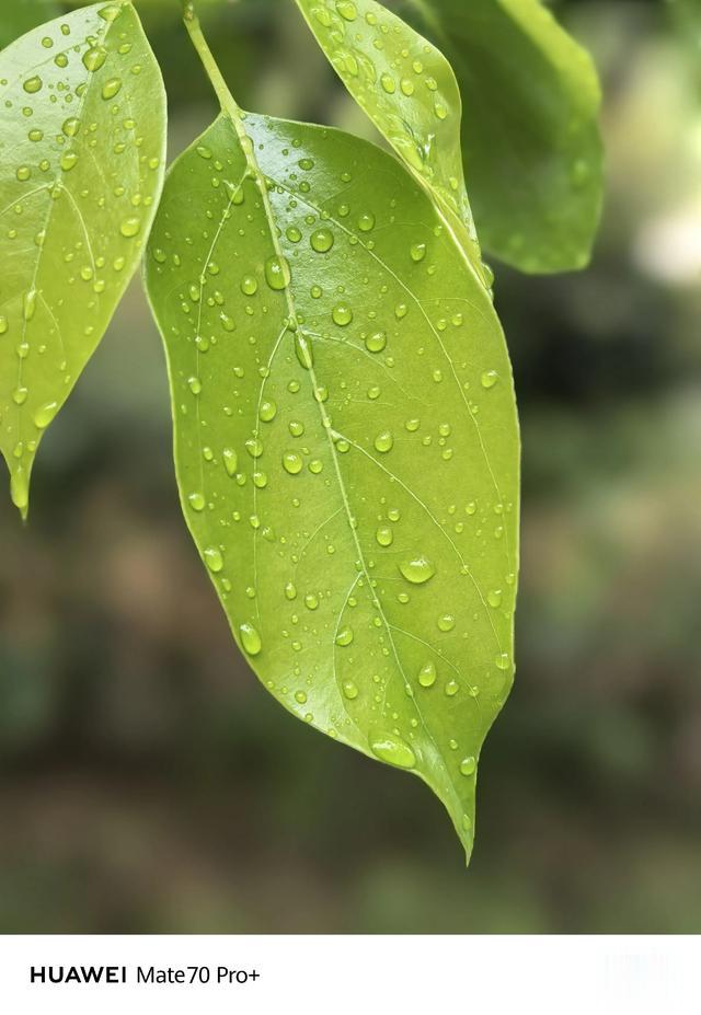 華為Mate 70 Pro+從蘋果15Promax換過來，續航發熱確實好一點