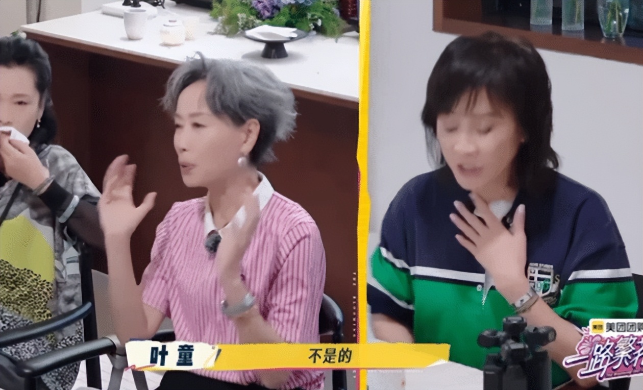 刘嘉玲叶童强势争辩，刘嘉玲说：我完全尊重，叶童：你完全不尊重