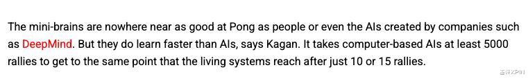 用人脑细胞跑AI,我快搞不懂这个世界了