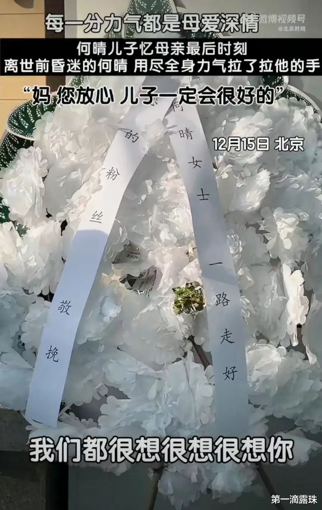 许何追忆母亲何晴临终前拉他手，听完泪崩！许亚军被曝在美国陪小儿子太偏心