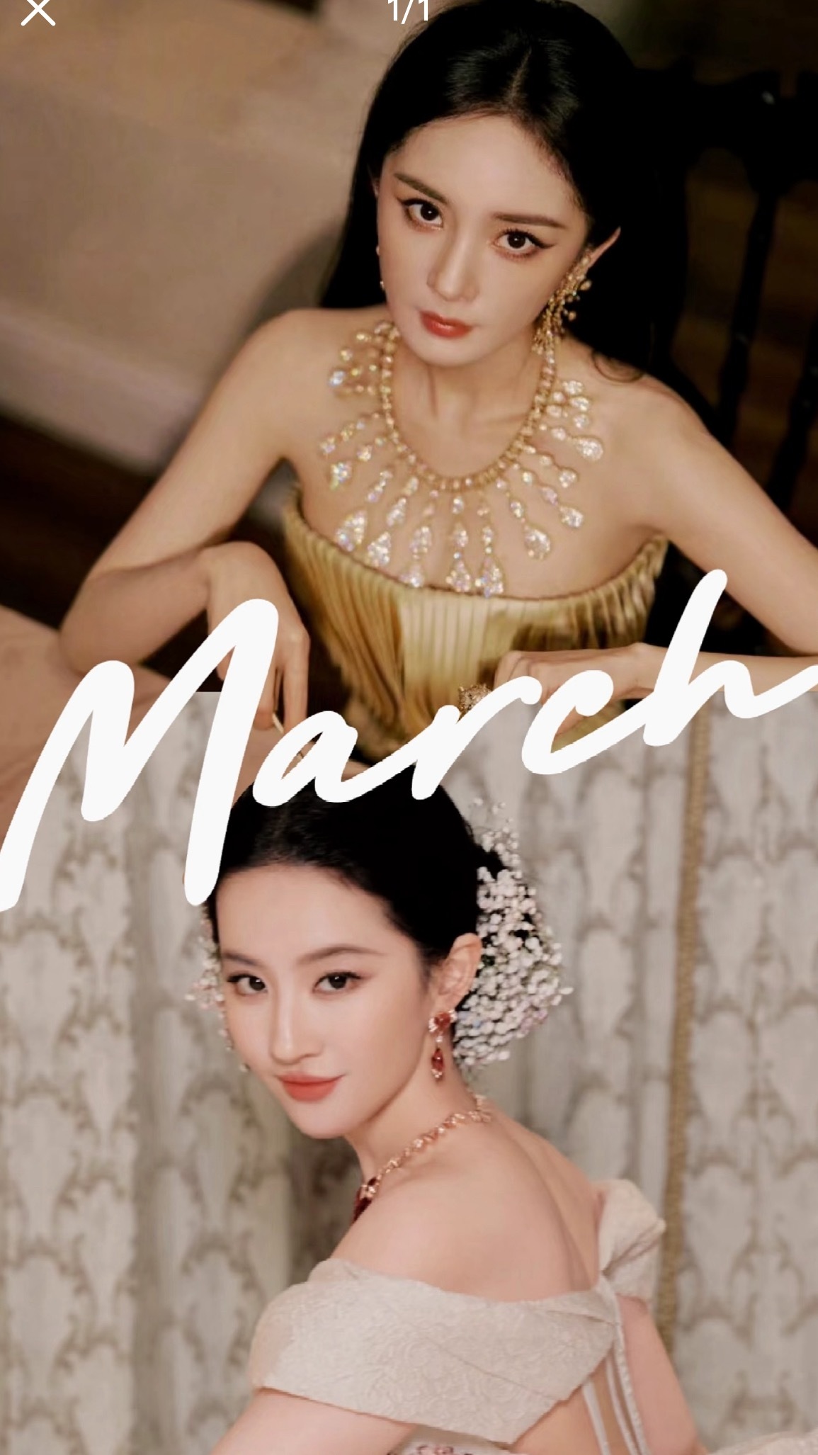 谁懂啊 刘亦菲和杨幂晚宴坐一桌