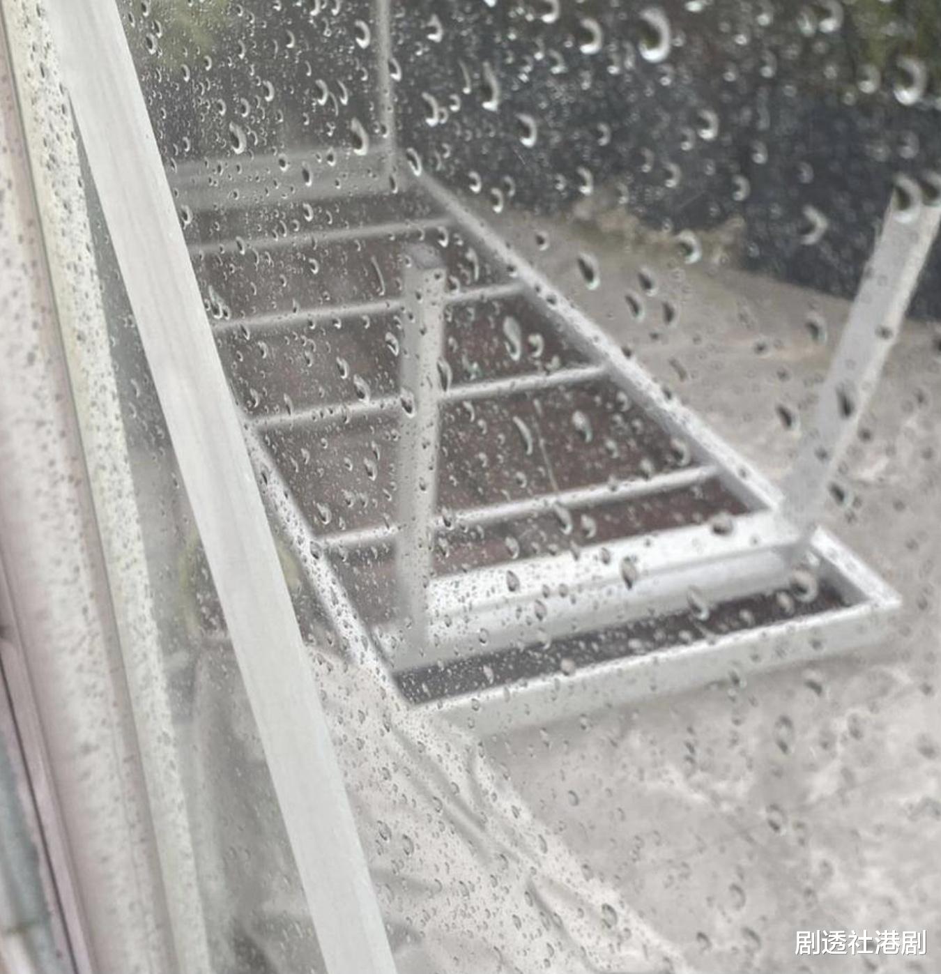 TVB前港姐冠军晒近况!台风天户外花园一片狼藉,过亿豪宅似宫殿