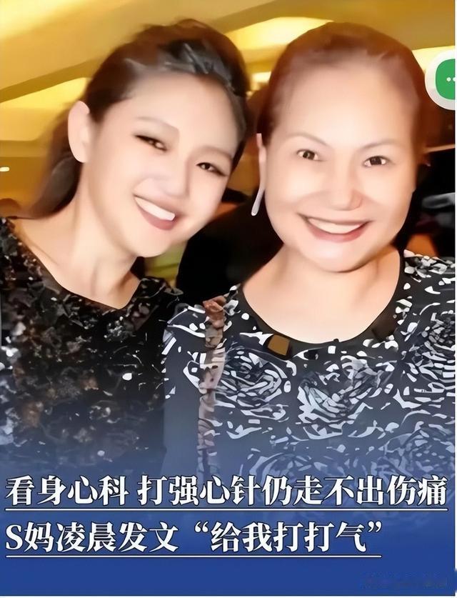 黄春梅说：大S是我的一根肋骨，具俊晔是我的欧巴！网友：乱辈了