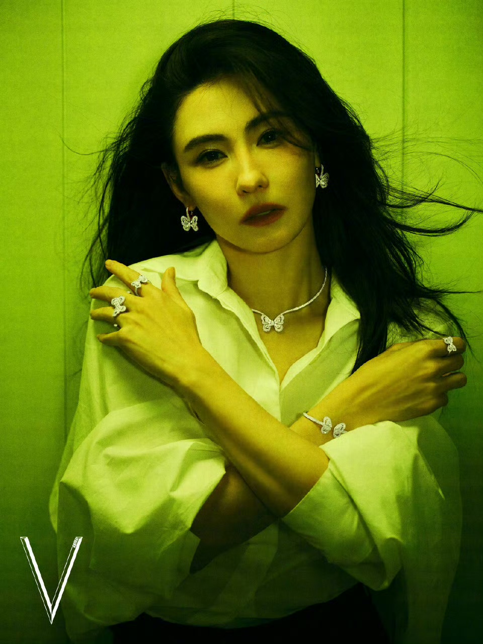 张柏芝：7只蝴蝶背后的港风传奇