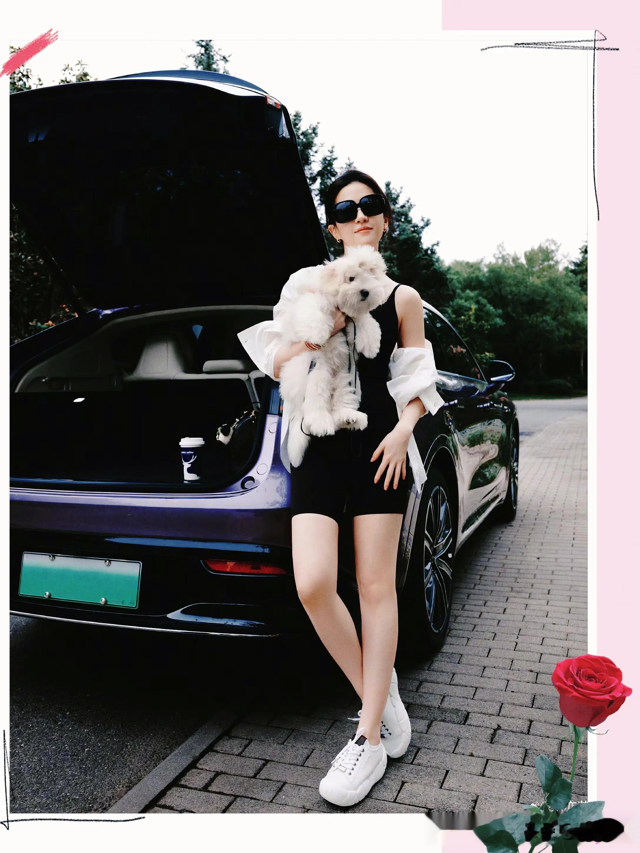 刘亦菲深夜更新动态，晒与小狗合影，穿短裙美腿抢镜，素颜美翻了