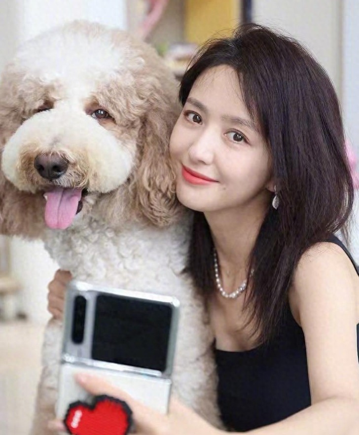 佟丽娅分享和大狗狗合照，和狗狗贴贴好温柔有爱啊