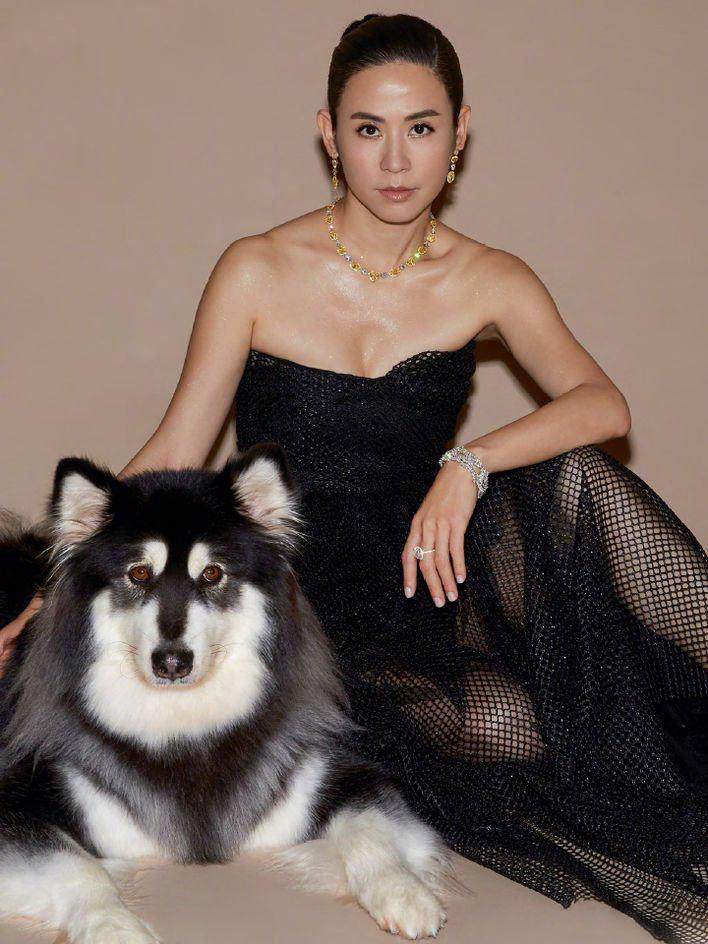 女明星，优雅大方的宣萱