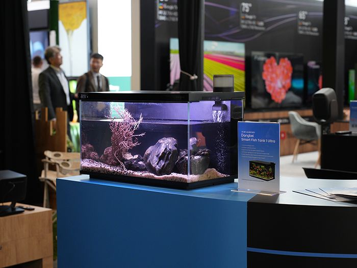 当贝IFA 2025:家庭娱乐与智慧生活的创新盛宴