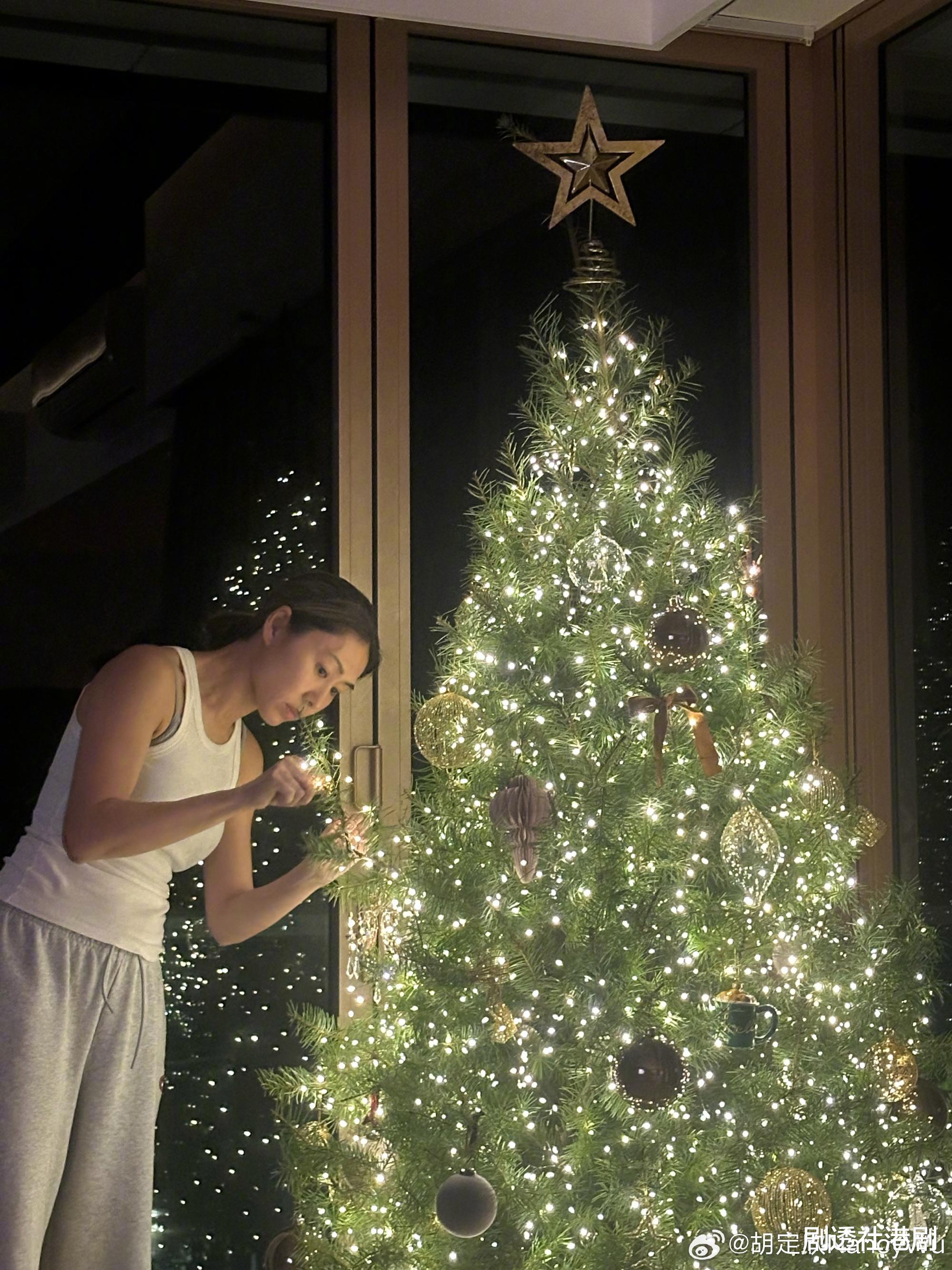 TVB视后晒家中新置圣诞树！意外曝光豪宅内景，两个月前突爆婚讯