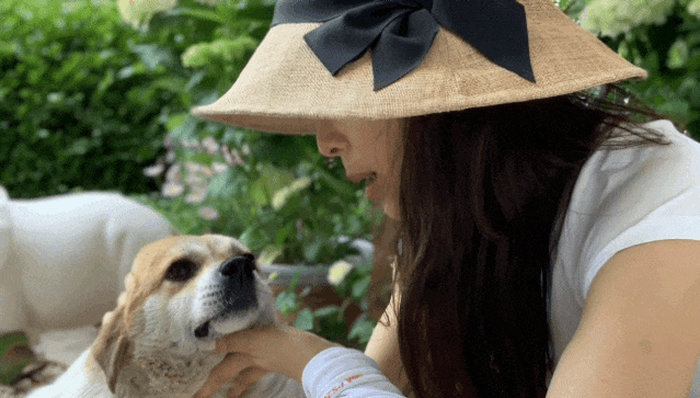 45岁张静初的院子，小院花花草草，圈粉无数网友，是向往的生活