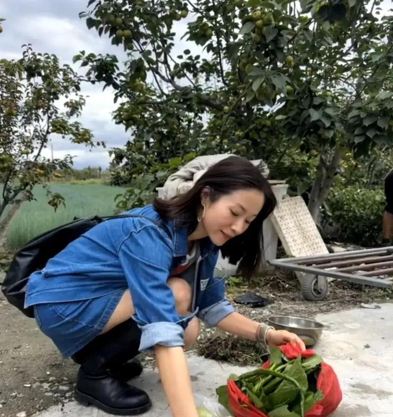 江一燕温州街头被偶遇，穿短裙腿被冻到黑紫，脸馒化到差点认不出