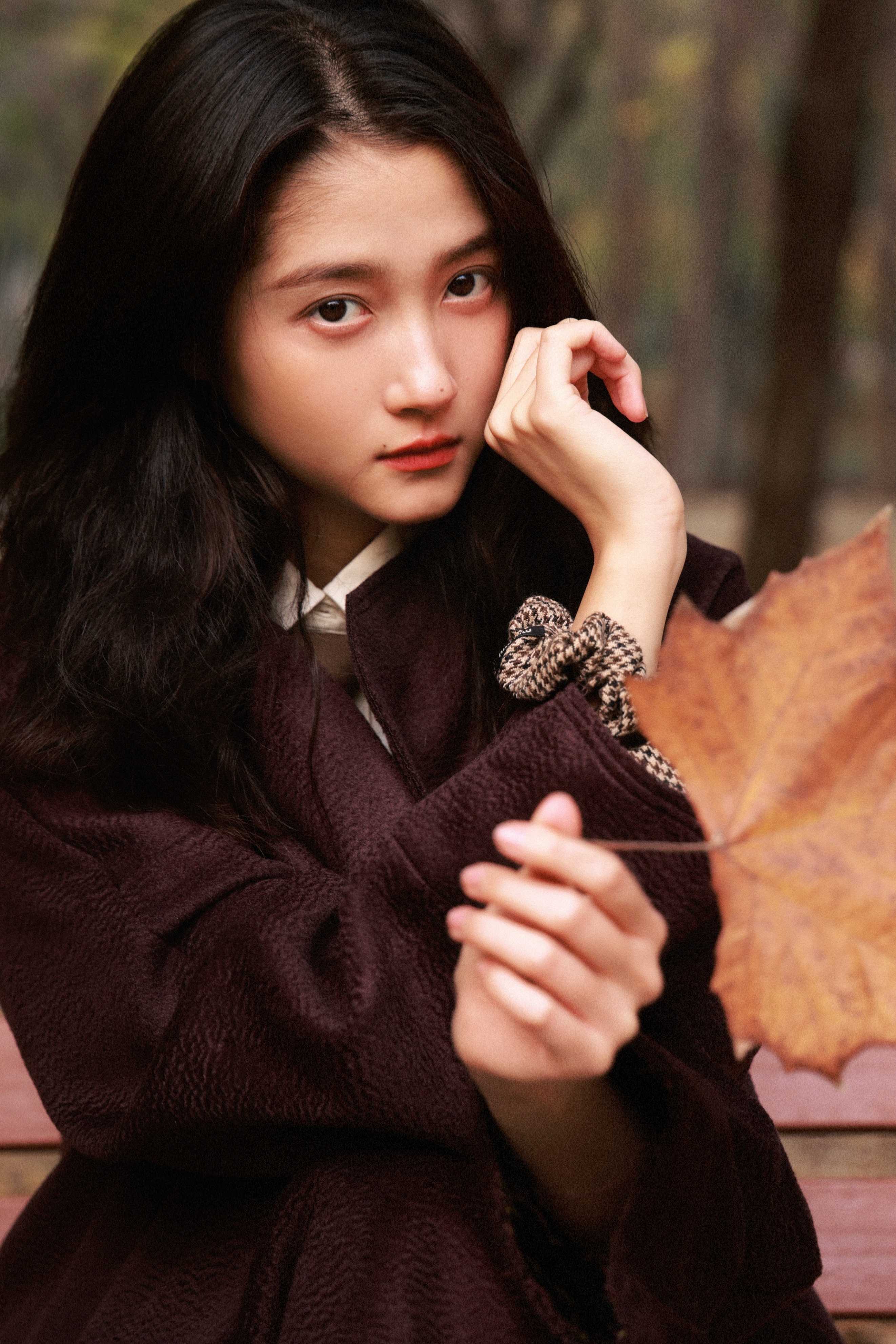 关晓彤高清壁纸