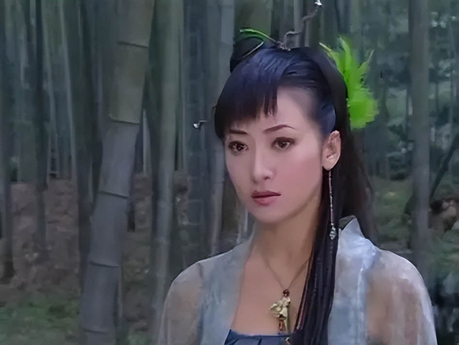 停工3年12次试管,50岁的陈紫函求子未果,回旋镖扎在了自己身上