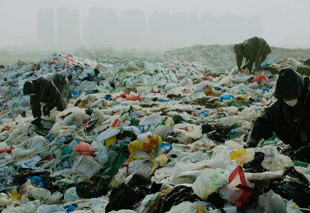 看了3集《刑警的日子》，发现有些明星过气有原因的，完全带不动