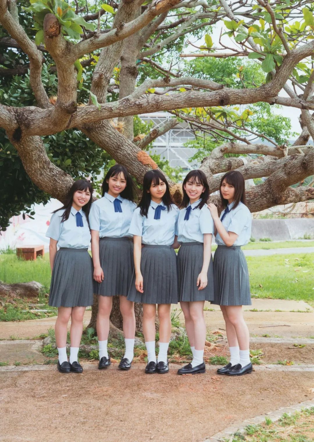 日系写真美图|No.1230 日向坂46 1st「立ち漕き?」