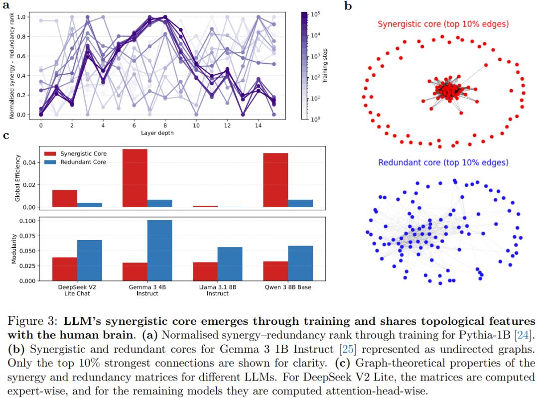大模型長腦子了？研究發現LLM中層會自發模擬人腦進化