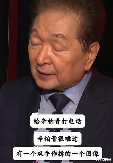 撒贝宁,戳穿了辛柏青丧妻后的“真实处境”,也给娱乐圈提了个醒