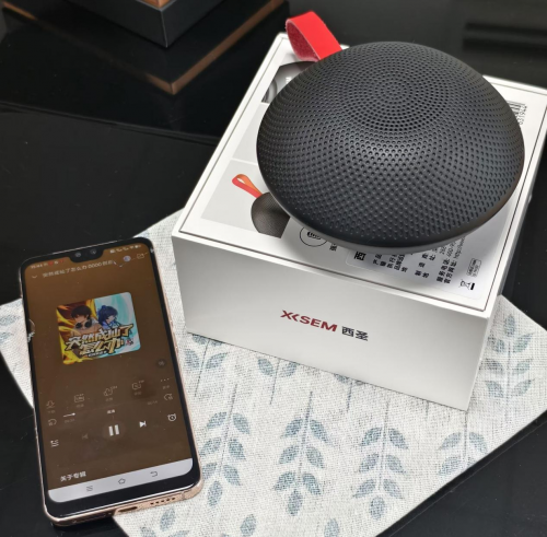 家用藍牙音箱哪個好？2025年家用藍牙音箱品牌排行榜前十名推薦！