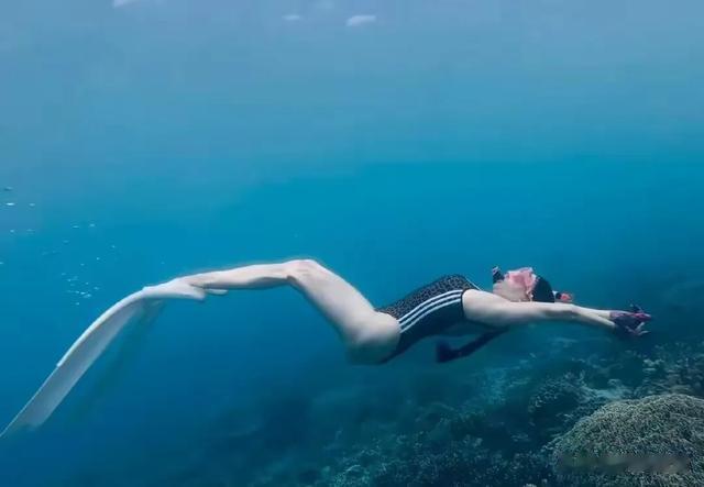 55岁钟丽缇马来西亚泳池变美人鱼，身材碾压少女，水中状态绝了