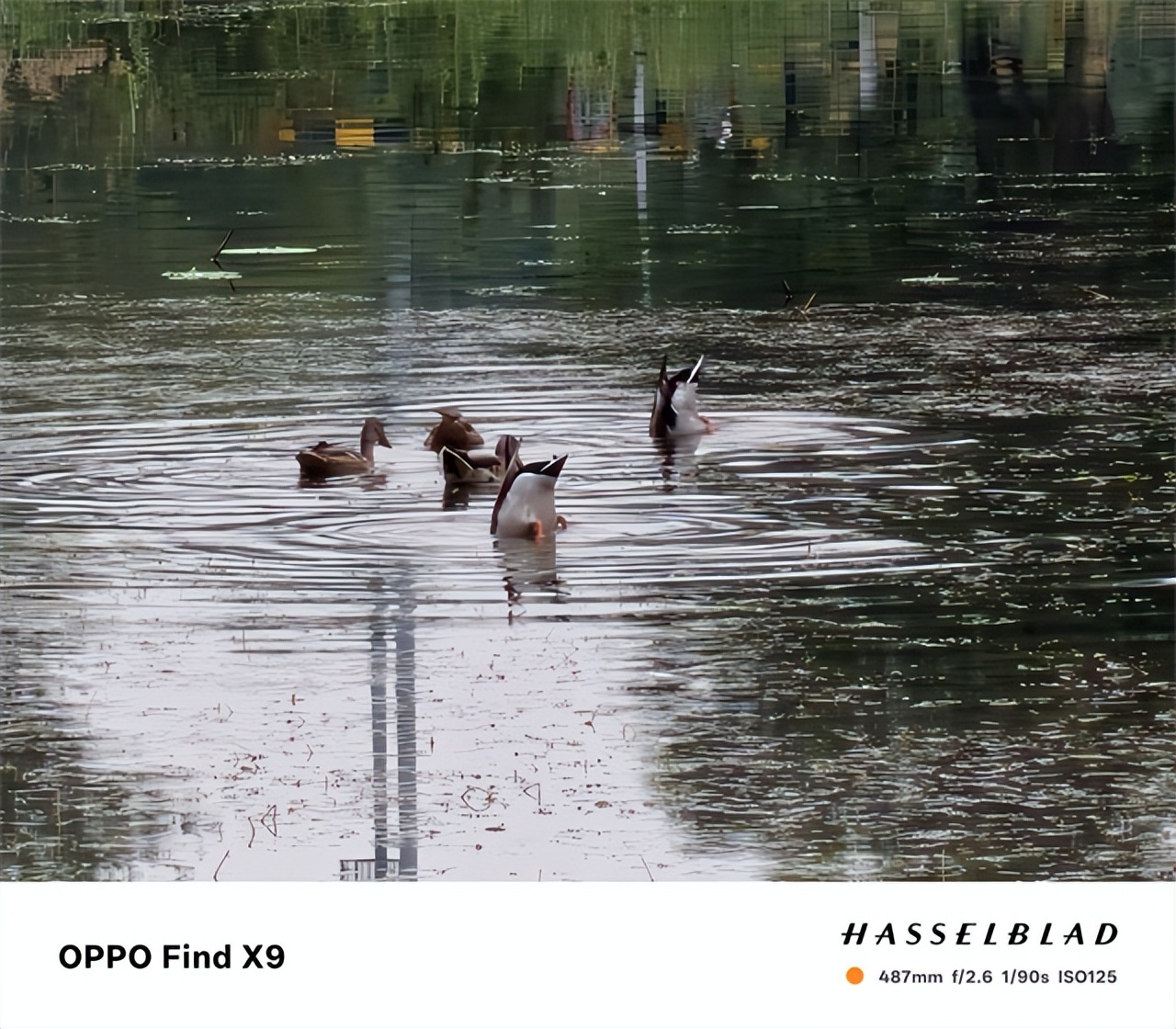 OPPO Find X9超越Pro版 最強標準版旅拍神器驚艷四座