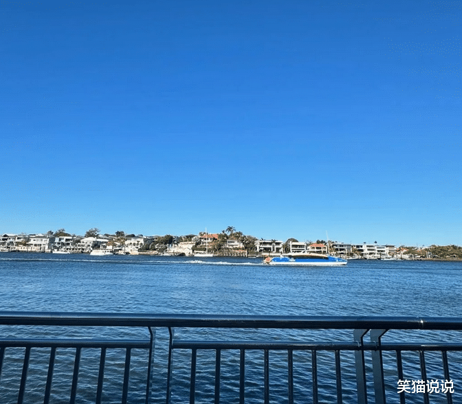 44岁郑丽媛晒最新照片:白衣碎花裙很文艺,笑容甜美灿烂!