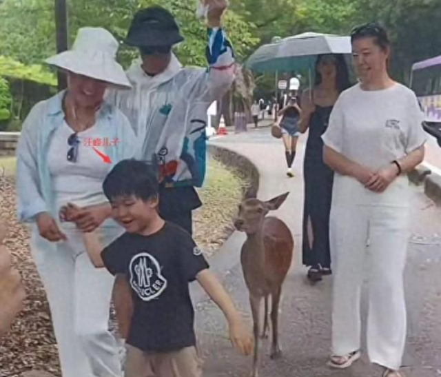 章子怡一人去埃及玩，不用带娃开心，一天换5套衣服比森林北明媚