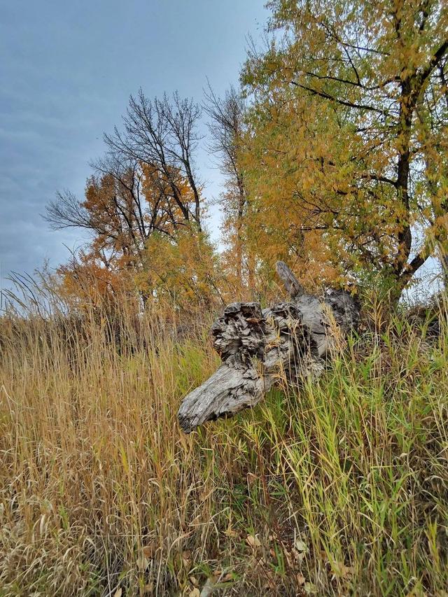 智能眼鏡的重點，并不在智能｜硬哲學