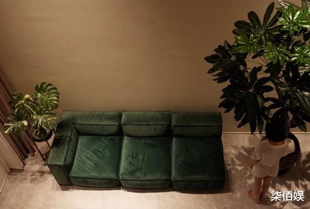 王珞丹从北京大别墅搬到深林生活,41岁还没结婚,养2只狗作伴