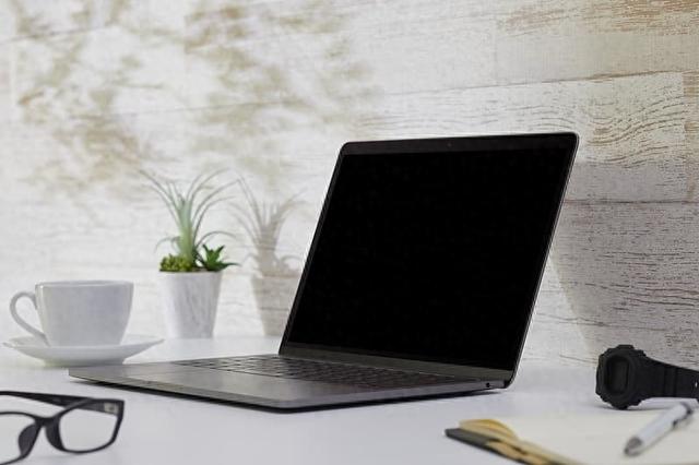 个人电脑的诞生、兴起和衰落