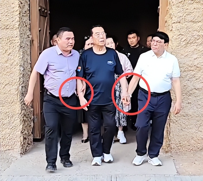 86岁李双江带梦鸽游新疆！两人十指紧扣好恩爱，儿子李天一变低调