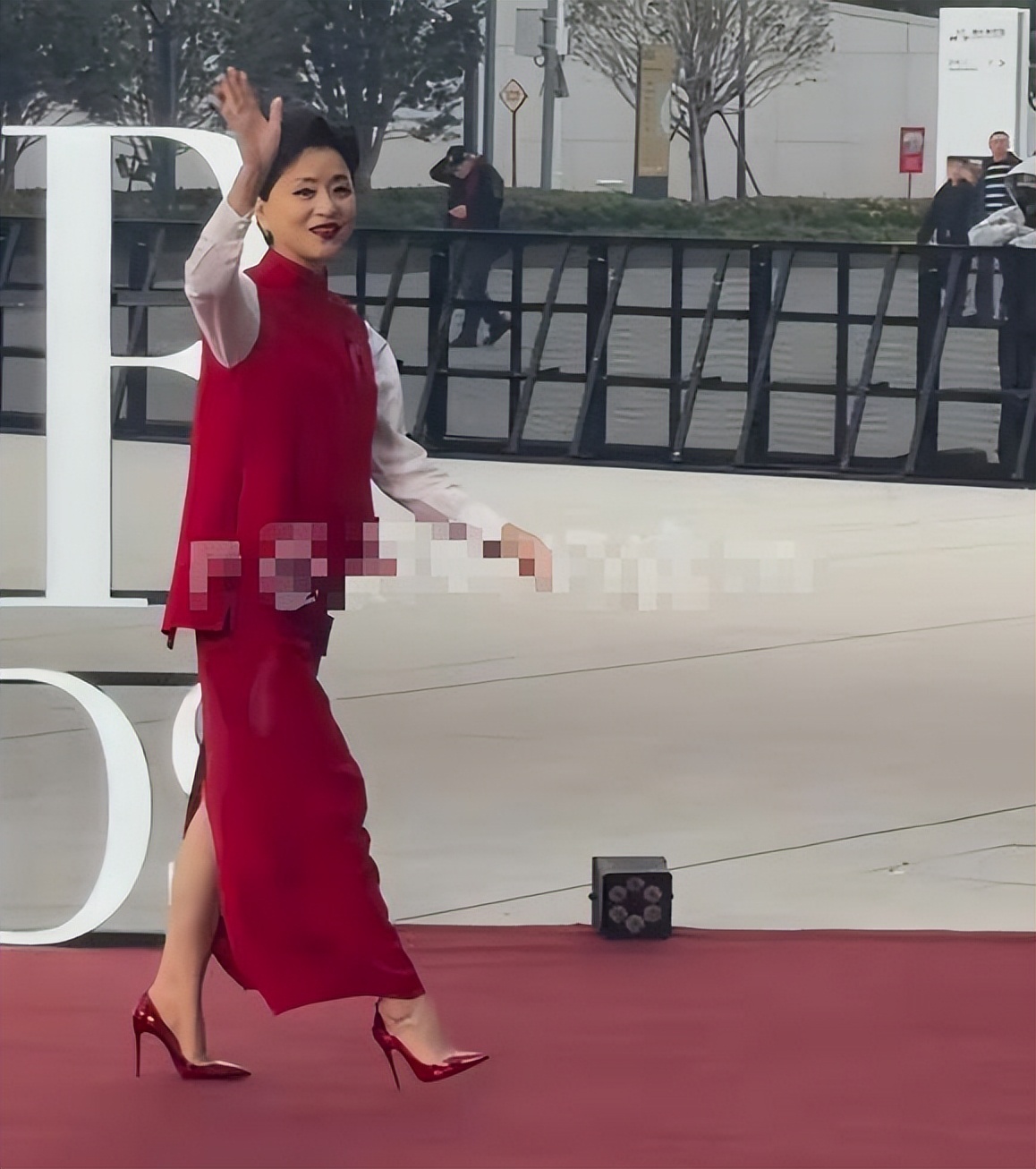 凤凰落地？57岁央视主持人上海参加活动，脸肿皱纹多，假发套抢镜