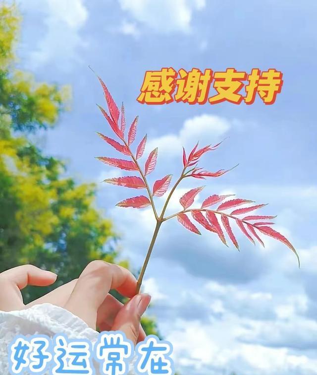 推荐：10部值得N刷的韩国\悬疑惊悚影片\，宋康昊/郑雨盛/马东锡