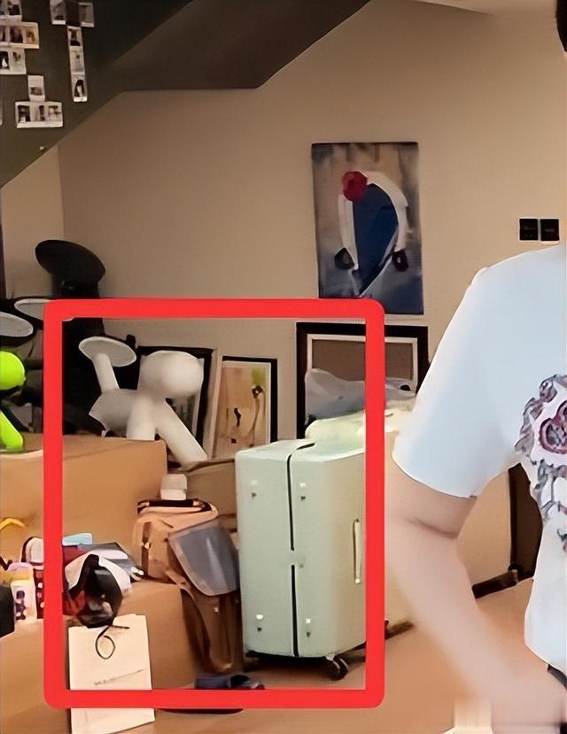 梅婷豪宅内景曝光,墙上挂满名画和照片,地上堆满杂物乱得很真实