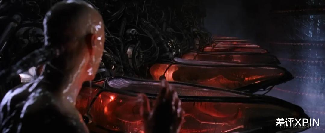 用人脑细胞跑AI,我快搞不懂这个世界了