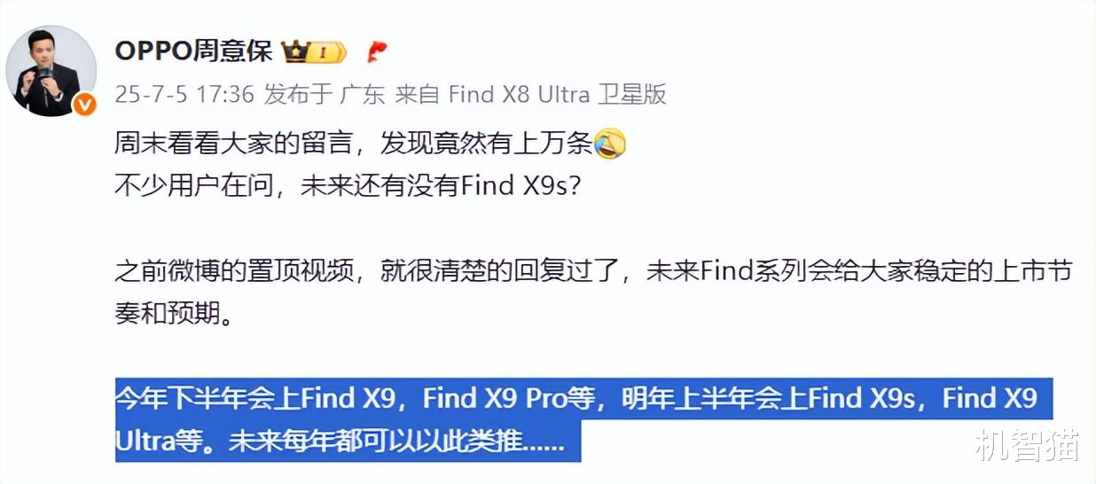 被嫌棄的Plus手機