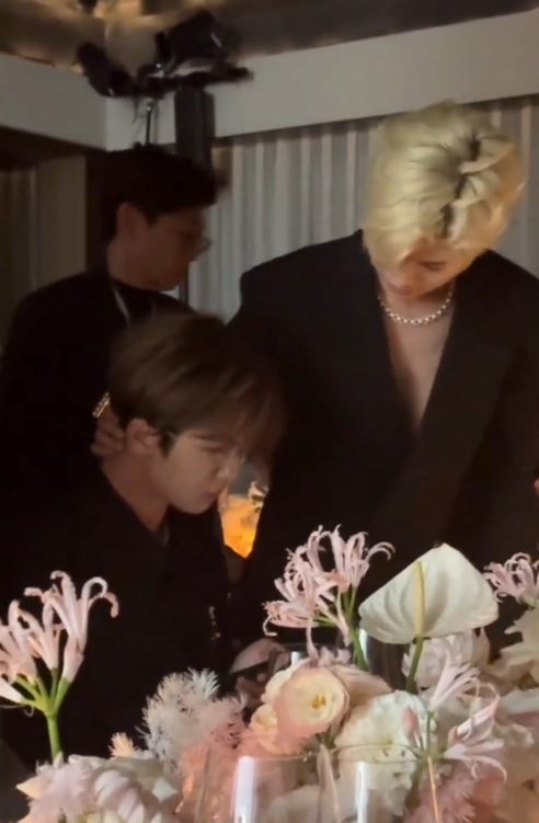 珠宝晚宴,周也面相变了,哈尼好美,任嘉伦脸凹,张柏芝黑袍抢镜