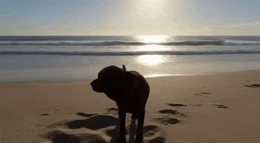 谷歌攤牌：Genie 3讓你1秒「進入」名畫，人人可造交互世界